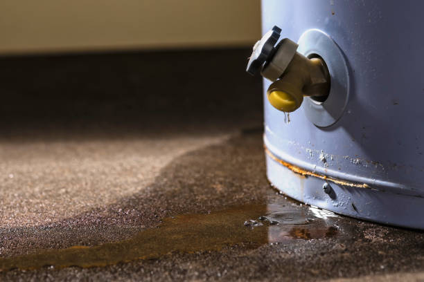 Best Ceiling water damage repair  in Ebensburg, PA