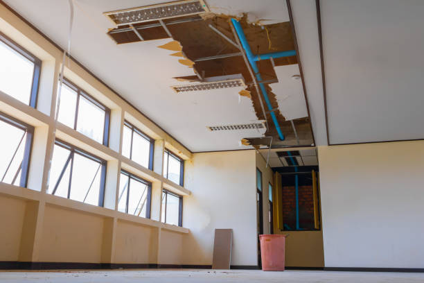 Best Water damage restoration near me  in Ebensburg, PA