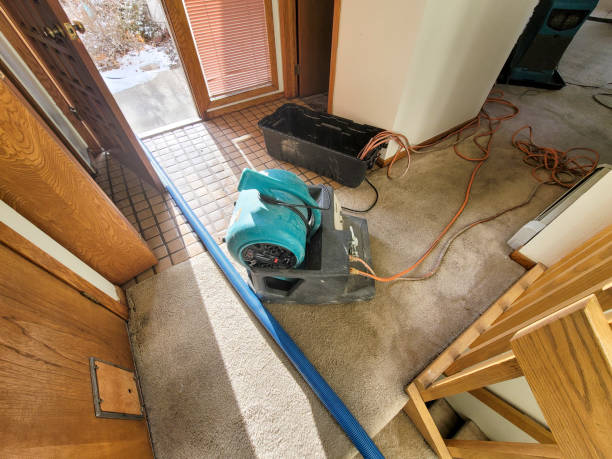 Best Water damage restoration near me  in Ebensburg, PA