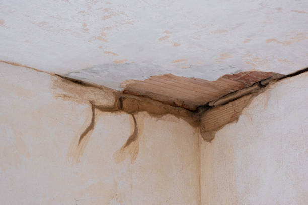 Best Water damage restoration near me  in Ebensburg, PA