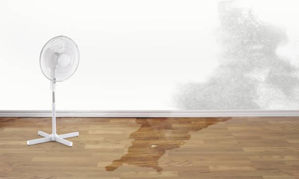 Trusted Ebensburg, PA Water damage restoration Experts