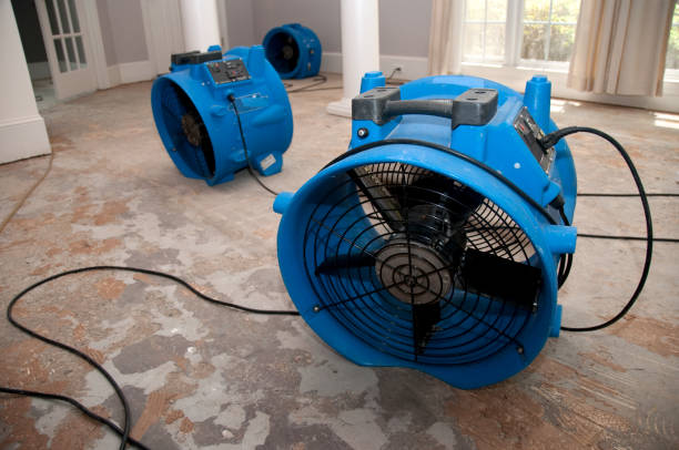 Best Water damage cleanup near me  in Ebensburg, PA