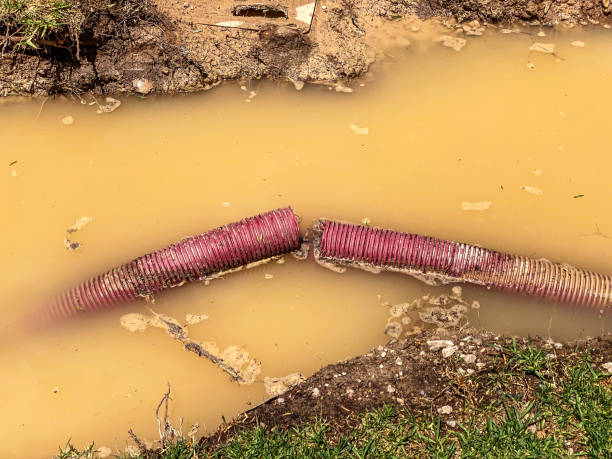 Best 24/7 water damage repair  in Ebensburg, PA