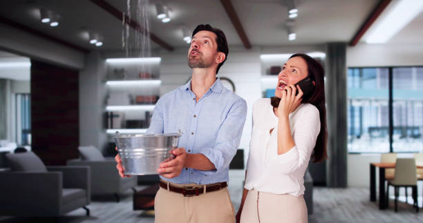 Best Water damage restoration company  in Ebensburg, PA